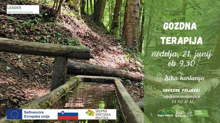 Gozdna terapija, 21. 6. 2026